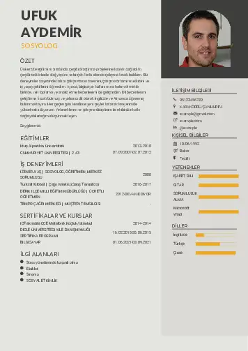 Sosyolog Cv Örnekleri cv indir